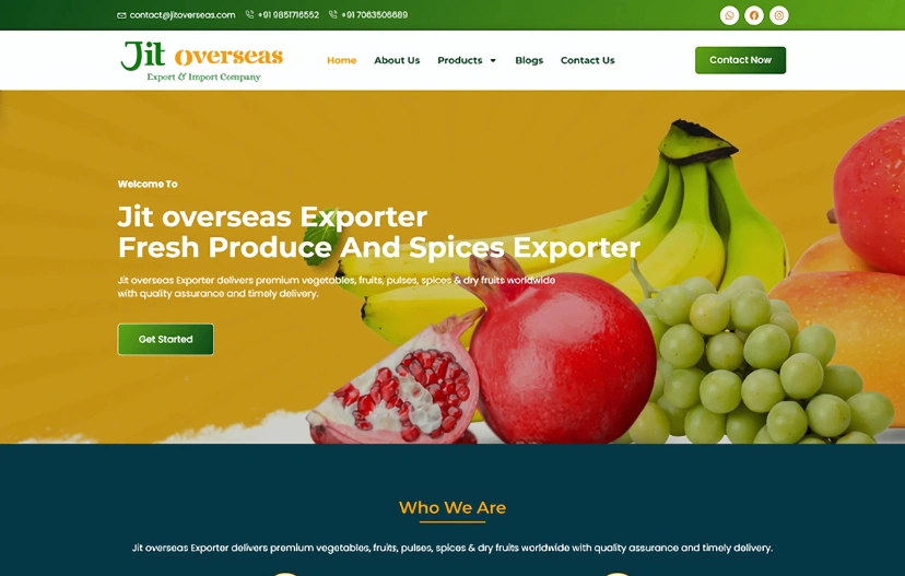 Export & Import Website